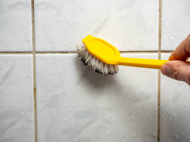 Best Professional Mold Removal  in Andrews Af, MD