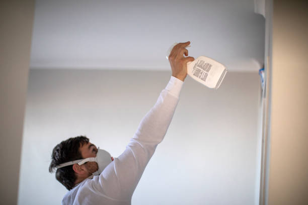 Best Mold Damage Repair  in Andrews Af, MD